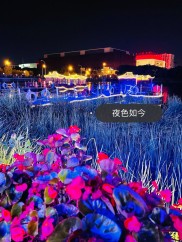关于南京夜色璀璨：江南队轰轰烈烈胜利，赢得全场喝彩的信息