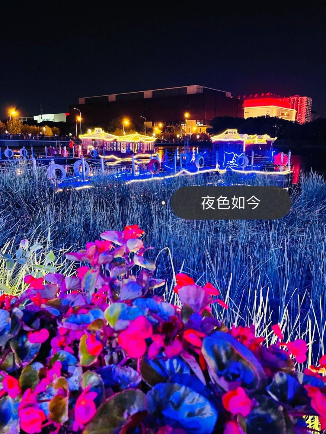 关于南京夜色璀璨：江南队轰轰烈烈胜利，赢得全场喝彩的信息
