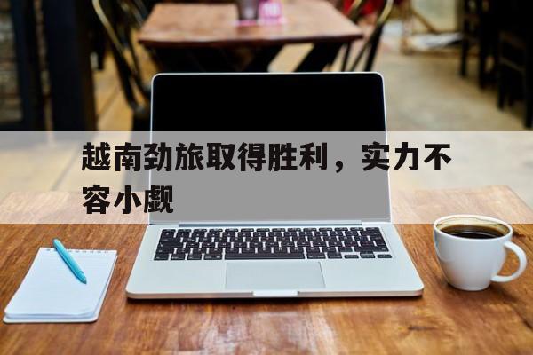 越南劲旅取得胜利，实力不容小觑的简单介绍
